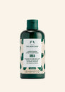 The Body Shop Shea Intense Repair Conditioner 250 ML