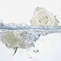 Oriflame Feminelle Refreshing Intimate Wash with Rose Water 300 ML